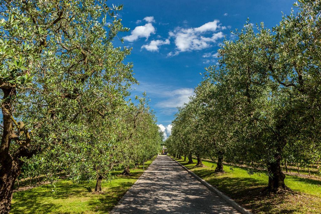 Quercia Belvedere Relais Бардолино Экстерьер фото